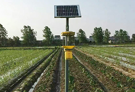 山東蔬菜種植園菜地太陽能殺蟲燈案例