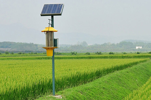 太陽能電擊式殺蟲燈單層電網