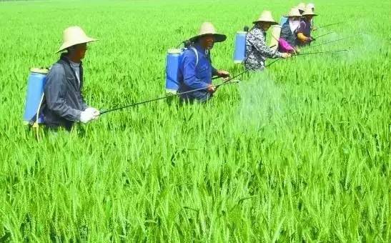 太陽能殺蟲燈哪家好？不能只圖價格便宜，否則得不償失