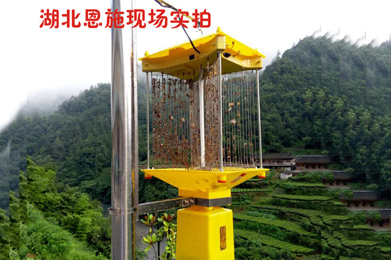 農業用殺蟲燈都是什么顏色