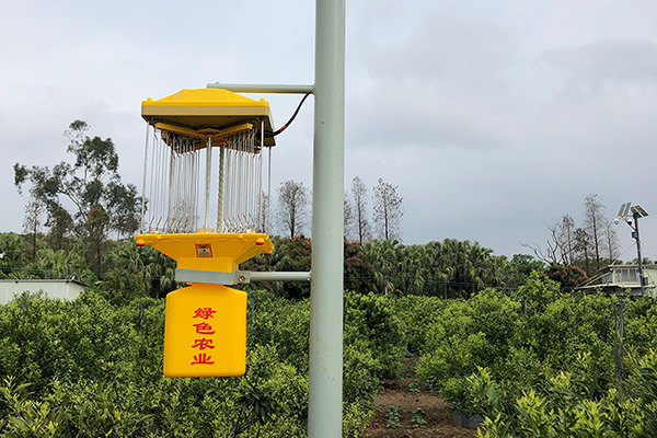 太陽能監控太陽能殺蟲燈讓茶園更安全