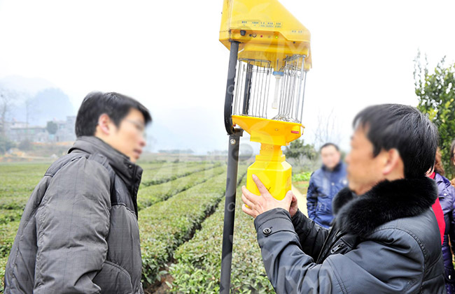 太陽能殺蟲燈燈具安裝攻略，注意事項大全，一定要看