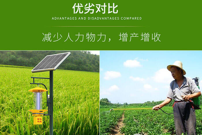 太陽能殺蟲燈多少畝一臺，節能環保的殺蟲燈應用