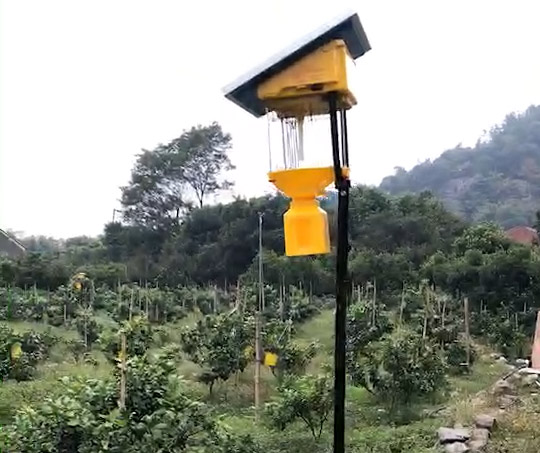 高空殺蟲燈的作用，高空殺蟲燈有用嗎